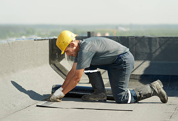 Best Specialized Insulation Services in Cohoes, NY